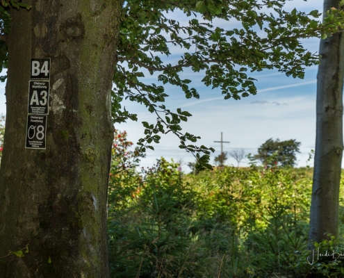 Olsberger Gipfeltour 24