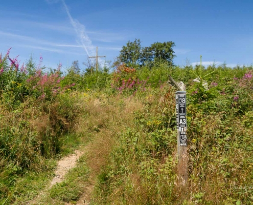 Olsberger Gipfeltour 25