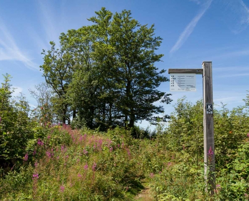 Olsberger Gipfeltour 26