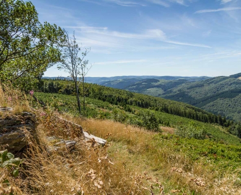 Olsberger Gipfeltour 36