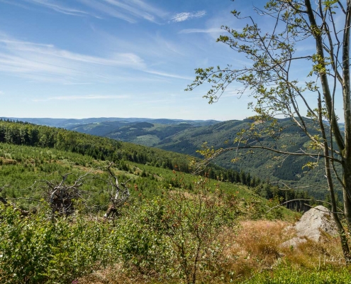 Olsberger Gipfeltour 42