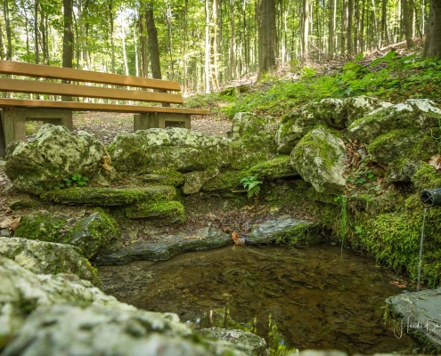 Olsberger Gipfeltour 47