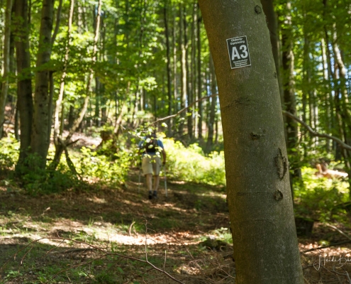 Olsberger Gipfeltour 48