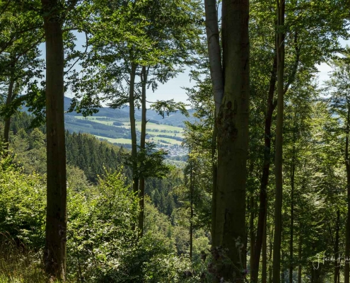 Olsberger Gipfeltour 49