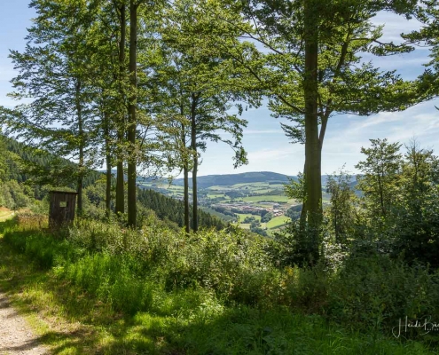 Olsberger Gipfeltour 50