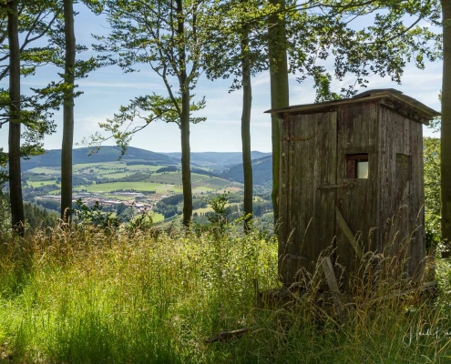 Olsberger Gipfeltour 51