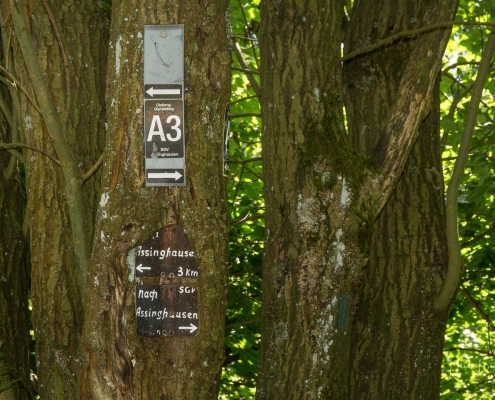 Olsberger Gipfeltour 53