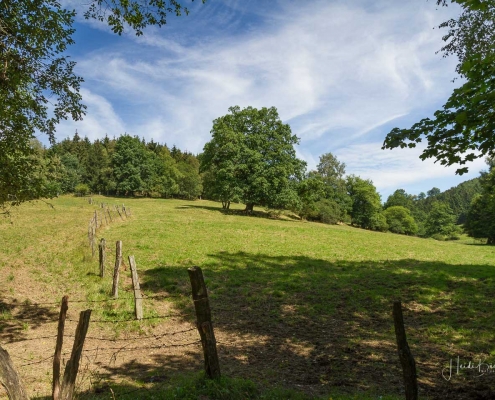 Olsberger Gipfeltour 54