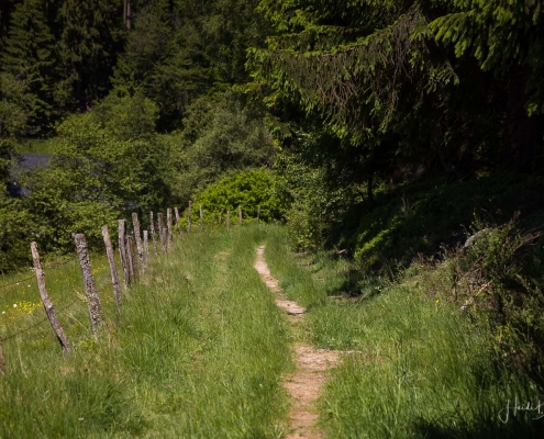 Zubringerweg des Sauerland-Höhenflug
