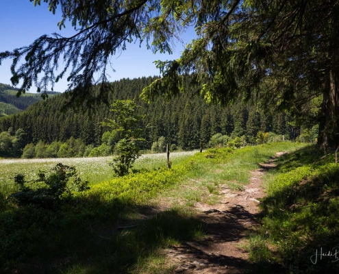Zubringerweg des Sauerland-Höhenflug