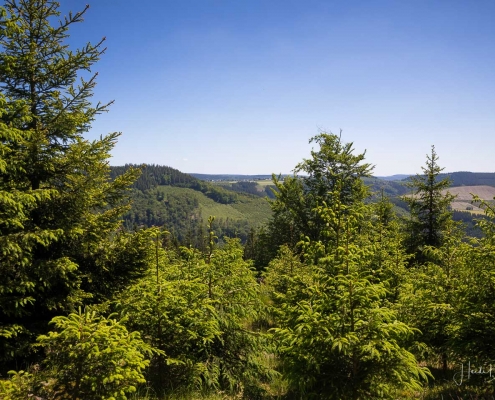 Aussicht vom Schwedensteig-Heidenstraße