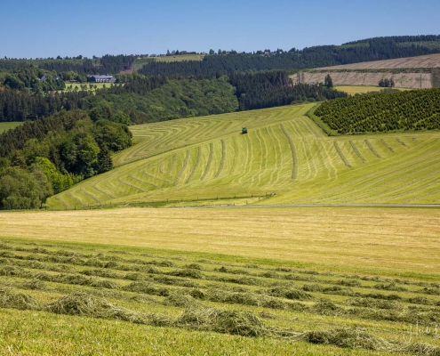 Heuernte in Ohlenbach