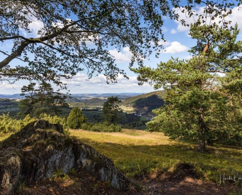 Aussicht von der Wachholderheide