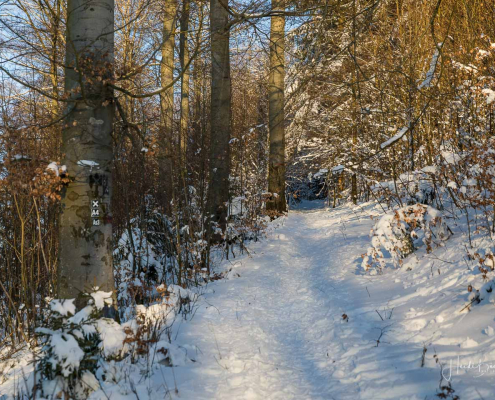 Pfad zur Knochenspitze