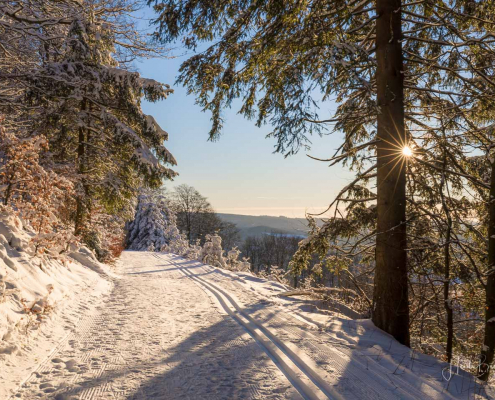 Loipe rund um den Hohen Knochen