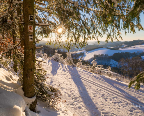 Wegmarkierung von Golddorfroute und Kahler Asten-Steig