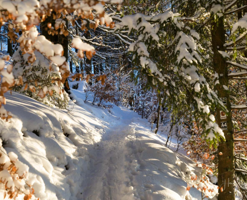 Pfad zur Knochenpitze