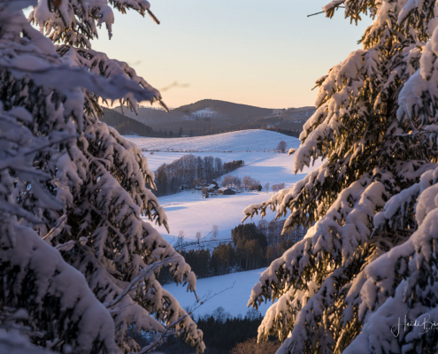 Blick durch die Bäume auf die Bauernschänke
