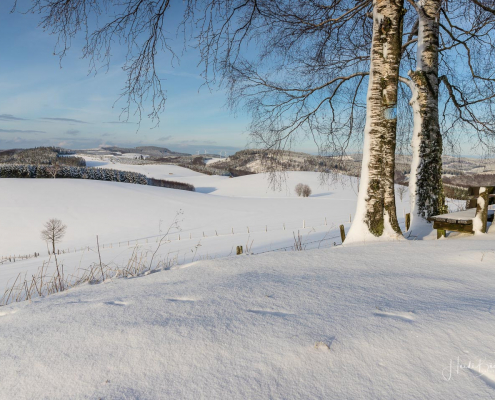 Oberhenneborn im Winter 28