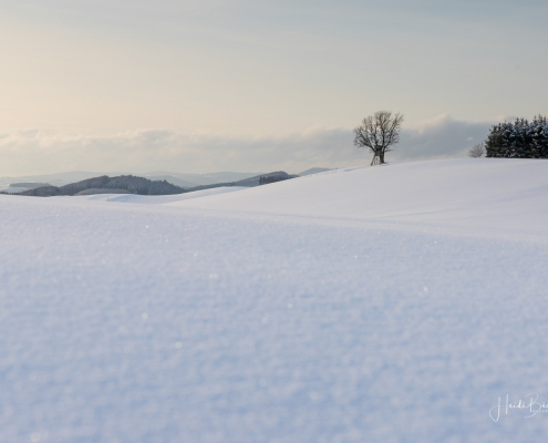 Oberhenneborn im Winter 32