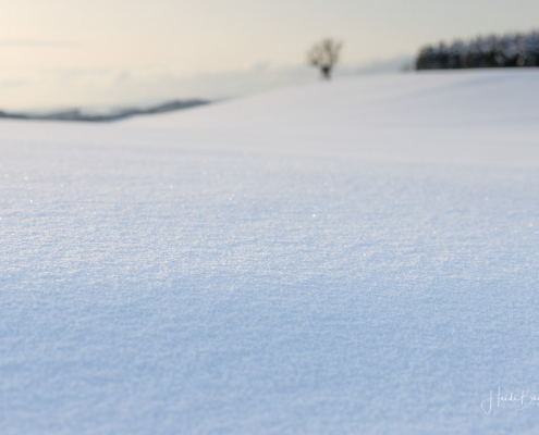 Oberhenneborn im Winter 33