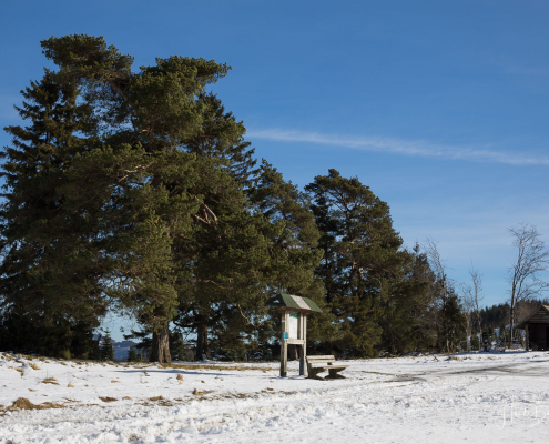 Winter_Sommerseite_Kalte_Kirche 001