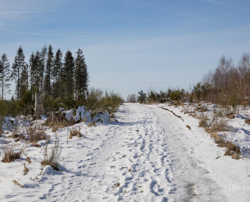 Winter_Sommerseite_Kalte_Kirche 005