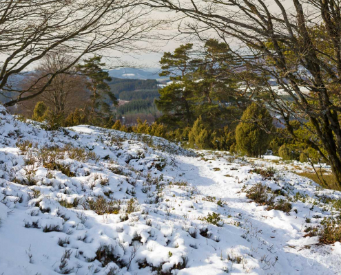 Winter_Sommerseite_Kalte_Kirche 009