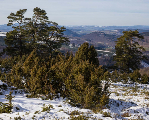 Winter_Sommerseite_Kalte_Kirche 012