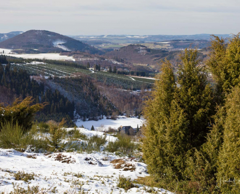 Winter_Sommerseite_Kalte_Kirche 015