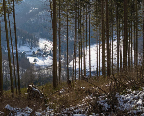 Winter_Sommerseite_Kalte_Kirche 021