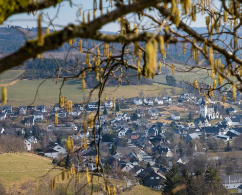 Blick auf Fleckenberg