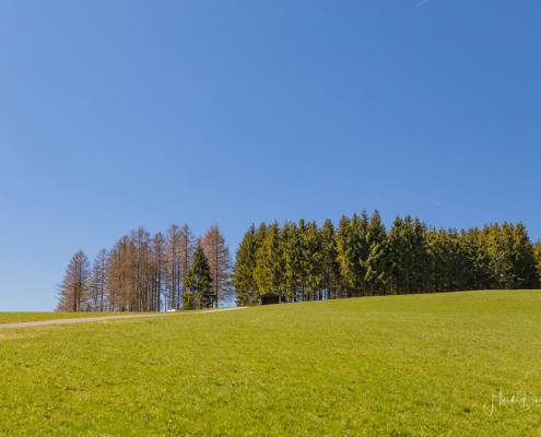 Blick zur Schutzhütte