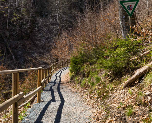 Neuer Weg im Frühjahr 2022