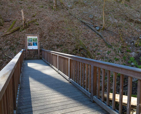 Neuer Steg Frühjahr 2022