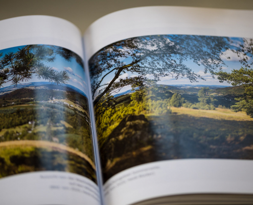 Westfelder Premiumwanderwege