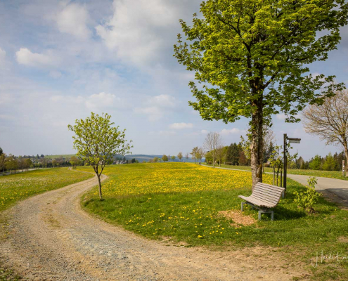 Rothaarsteig zwischen Langewiese und Lenneplätze