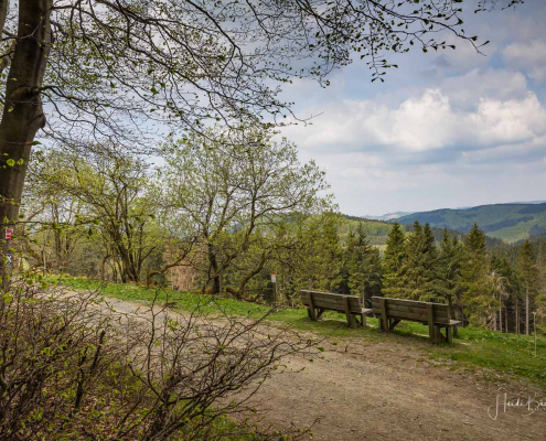 Rothaarsteig in Lenneplätze
