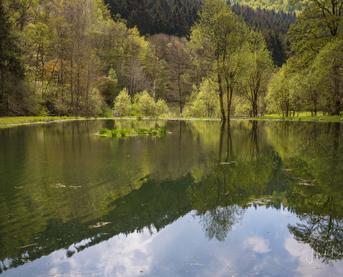 Teich im Nordenauer Kurpark