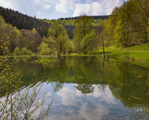 Teich im Nordenauer Kurpark