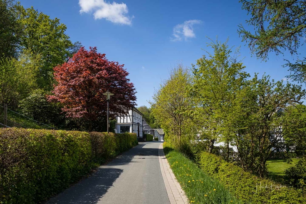 Schützenstraße in Oberkirchen – der Straßenrand ist noch nicht gemäht ツ