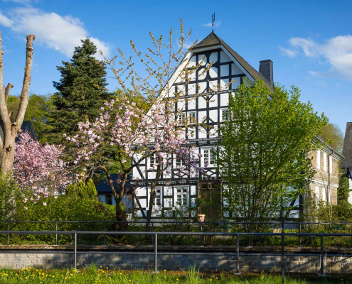 Hof Feldmann-Hömberg