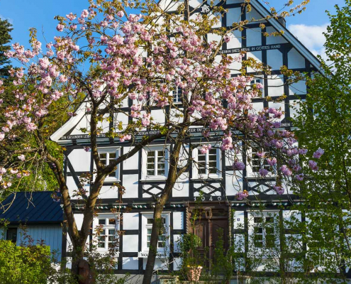 Hof Feldmann-Hömberg