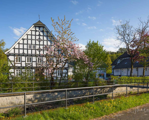 Hof Feldmann-Hömberg