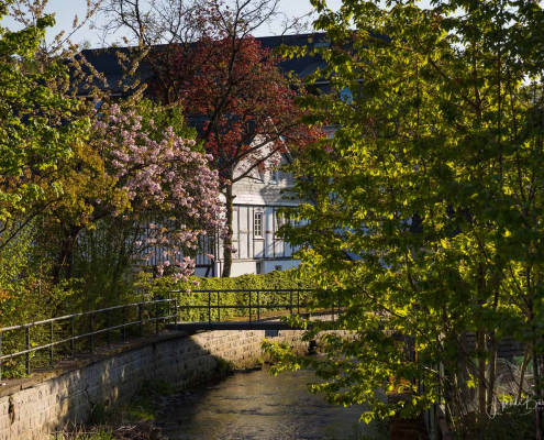 Blick über die Lenne