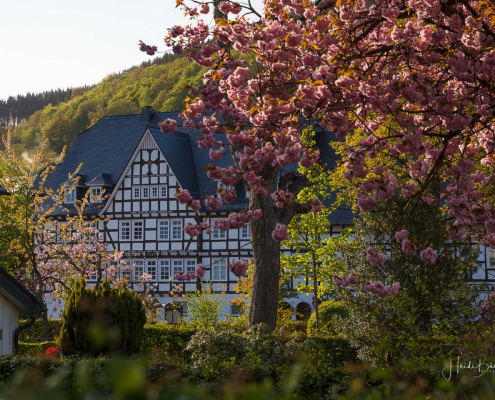 Vogtei im Abendlicht