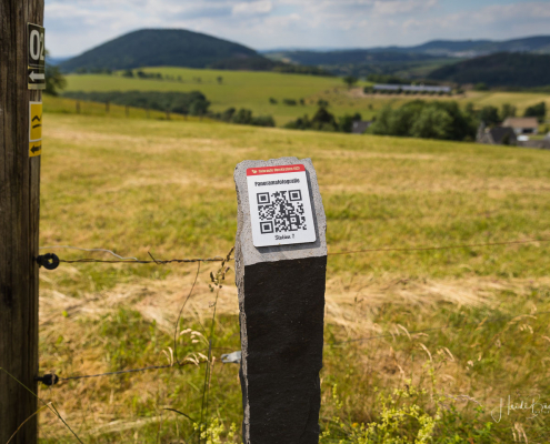 Panoramablick von der Almert
