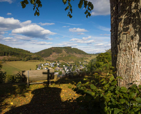 Waldsofa an der Pütte