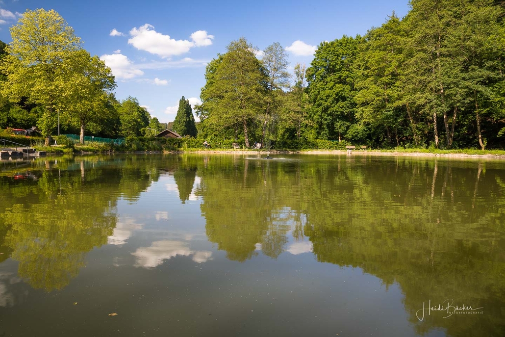 Kahnteich in Bilstein Kahnteich in Bilstein