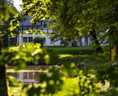 Blick durch die Bäume